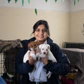 RSPCA inspector Herchy Boal has been assisting the Coro Street team with their puppy farming storyline (Photo: RSPCA/ITV/Supplied)