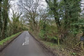 Thurnham Lane in Bearsted, Maidstone, where two pedestrians and a dog were killed in a collision with BMW Picture: Google