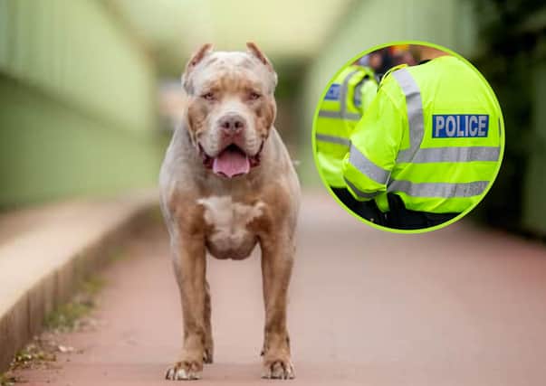 A man and a woman have been arrested after an 8-year-old boy suffered 'life-changing' injuries after being attacked by a dog believed to by an XL Bully.