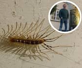 A university professor has found an extremely rare, venomous centipede in his Nottinghamshire home. Picture: SWNS