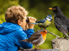Big Garden Birdwatch 2024: How to help the RSPB help Britain's garden birds this weekend - in just one hour