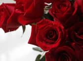 Fears roses may be in short supply this Valentine's Day caused by post-Brexit border checks. Picture: Canva
