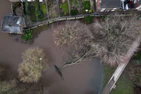 The Met Office has issued two weather warnings for wind and rain and snow could be on its way in February. An aerial picture taken on January 24, 2024 shows a fallen tree laying down in water following the bursting of the banks of the River Ouse, in York, following storm Jocelyn which brought strong winds and heavy rain. 