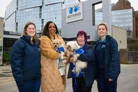 Alison Hammond and the Battersea Team, from left, canine behaviour manager Nat Ingham, Alison Hammond, Battersea head of animal behaviour Ali Taylor and rehoming welfare manager Becky Verne with rescue dogs Pip and Olive Picture: ITV