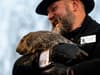 Groundhog Day 2024: who is Punxsutawney Phil, did he see his shadow and where to watch Bill Murray film