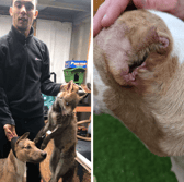 Footage showed a man the RSPCA believe was Dane Crawford setting dogs on a fox trapped inside a garage (NationalWorld/RSPCA)