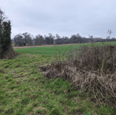 The field near Much Wenlock where the dead dog was found. Photo: RSPCA