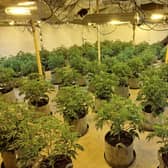 A cannabis farm with an estimated street value of £410,000 has been recovered by police after a warrant was carried out in Hanbury, near Droitwich.