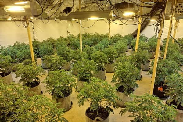 A cannabis farm with an estimated street value of £410,000 has been recovered by police after a warrant was carried out in Hanbury, near Droitwich.