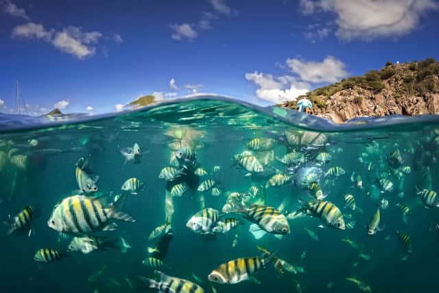 Snorkelling at St Martin was an experience unlike any other