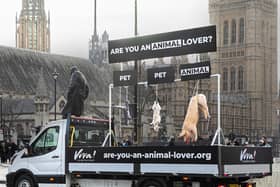 Animal rights activists have displayed a dead dog, cat and pig in Central London (Photo: Viva! Campaigns / SWNS)