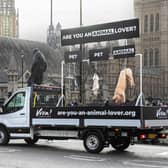Animal rights activists have displayed a dead dog, cat and pig in Central London (Photo: Viva! Campaigns / SWNS)