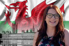 Carmen Smith is to become a Lord for Plaid Cymru. Credit: LinkedIn/Adobe/Getty/Mark Hall
