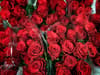 Valentine's Day: Global rose supply may be threatened by climate change, campaigners warn