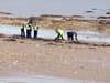 Police confirm human bones have been found on beach after three incidents reported