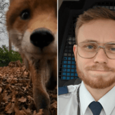 The cheeky fox grabbed her rescuer's camera and took off (Photos: RSPCA/Supplied)