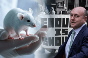 Science Minister Andrew Griffith announced funding for phasing out animal testing would double (Image: NationalWorld/Adobe Stock)