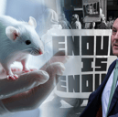 Science Minister Andrew Griffith announced funding for phasing out animal testing would double (Image: NationalWorld/Adobe Stock)