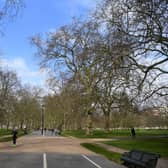London would need 1,330 more Hyde Parks filled with trees to combat its CO2 emissions (Photo: Alex Davidson/Getty Images)
