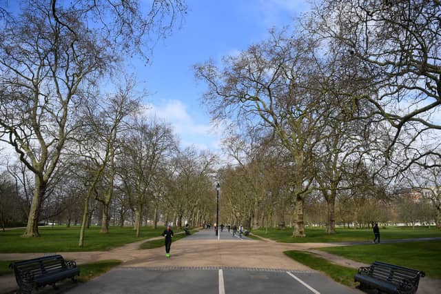 London would need 1,330 more Hyde Parks filled with trees to combat its CO2 emissions (Photo: Alex Davidson/Getty Images)