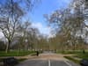 Trees: London would need 1,330 more Hyde Parks 'full of trees' to combat its carbon emissions