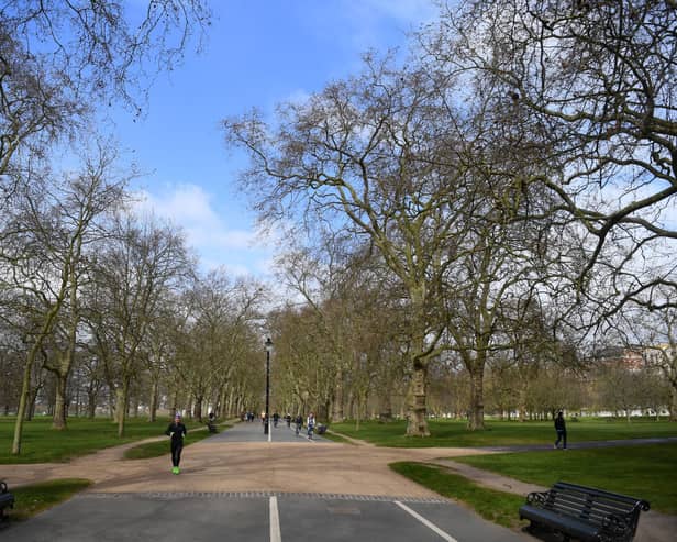 London would need 1,330 more Hyde Parks filled with trees to combat its CO2 emissions (Photo: Alex Davidson/Getty Images)
