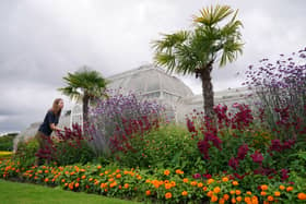 Botanical gardens, like London's Kew Gardens, bring with them an average of 5C cooling during heatwaves (Photo: Jonathan Brady/PA Wire)