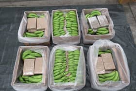 £450m of cocaine was found in a shipment of bananas at Southampton Docks Picture: National Crime Agency