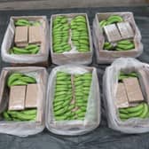 £450m of cocaine was found in a shipment of bananas at Southampton Docks Picture: National Crime Agency