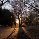 Professor Robert Thomas's tips on how to beat your Personal Best on a Park Run. A person runs through an autumnal evening sunset in Battersea Park in south London on November 23, 2021. (Photo by Justin TALLIS / AFP) (Photo by JUSTIN TALLIS/AFP via Getty Images)