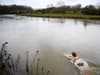 Wild swimming: 27 new bathing spots planned across England despite 'grim' sewage dumping - full list of proposed sites