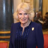 Queen Camilla is reportedly taking a break (Photo: Chris Jackson/PA Wire)