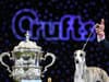 Crufts 2024 | What have been the most successful “Best in Show” breeds in Crufts history? 👑🐕