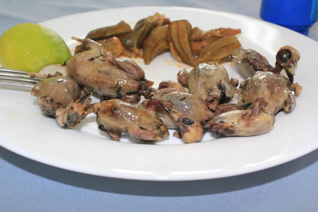 Ambelopoulia is a dish made from whole songbirds (Photo: BirdLife Cyprus/Supplied)
