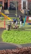 Shock footage shows man punching dog before hurling it over fence in kid's playground