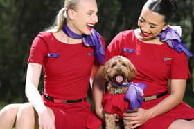 Virgin Australia announces plans to become country's first airline to allow small dogs and cats on planes. (Photo: Virgin Australia)