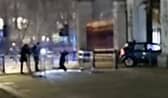 The dramatic scene as man arrested after crashing car into Buckingham Palace gates. Picture: SWNS