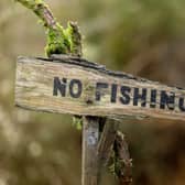 A cheeky kingfisher perches on top of a 'No Fishing' sign as it scours a river for its next catch (Photo: Tony Nellis / SWNS)