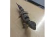McDonald's: RSPCA looks after gecko dubbed 'Bin Lizzy' found on bin outside North Finchley restaurant in London