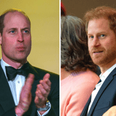 Prince William and Prince Harry both paid tribute to their late mother Princess Diana during the Diana Legacy Award in London, but avoided an awkward run-in in the process. (Credit: Getty Images)