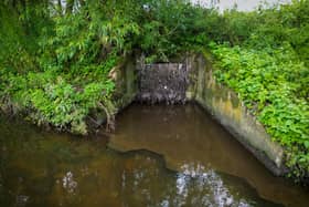 Water companies in England and Wales have almost doubled their profits since 2019 while rives have been "destroyed" by sewage pollution. (Photo: Getty Images)