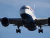 British Airways: Airline bans pilot from flying after claims he has 'covered up' history of 'anger issues'