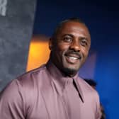 Luther actor Idris Elba is the British public's pick as the next actor to take up the role of James Bond, according to a new poll. (Credit: Lia Toby/Getty Images)