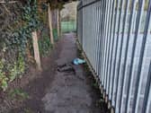 Seven wild rabbits have been found dead in an alleyway in Sidcup. Picture: RSPCA