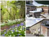 Staycation UK: Four 'idyllic' properties to stay at where you can enjoy the 'best' cherry blossoms and spring flowers - see prices and locations