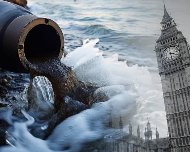 How did you MP vote on sewage spills? Credit: Mark Hall/Adobe
