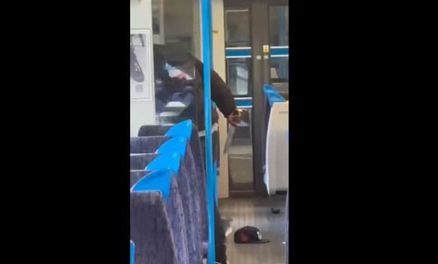 A still from a video uploaded to social media by a horrified passenger who witnessed a stabbing on a train in south London yesterday