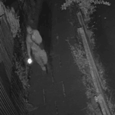 The CCTV was released by West Midlands Police