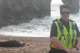 A police officer next to a seal sunbathing on Durdle Door beach (Photo: Purbeck Police/SWNS)