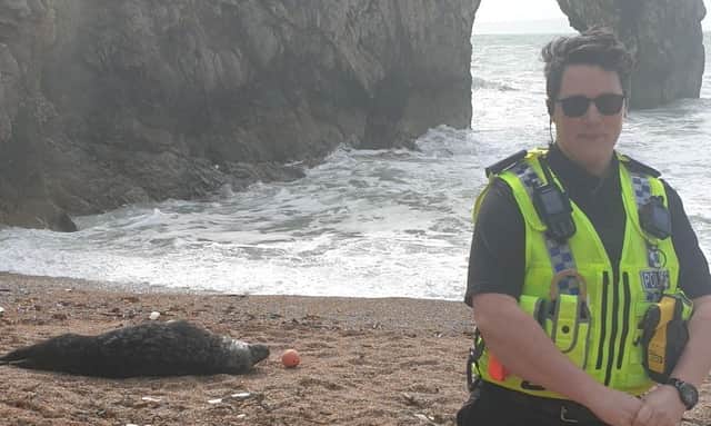 A police officer next to a seal sunbathing on Durdle Door beach (Photo: Purbeck Police/SWNS)